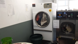 A LOT of washing goes on at an animal sanctuary. I set a scene between Jane and Angharad in the laundry room. 